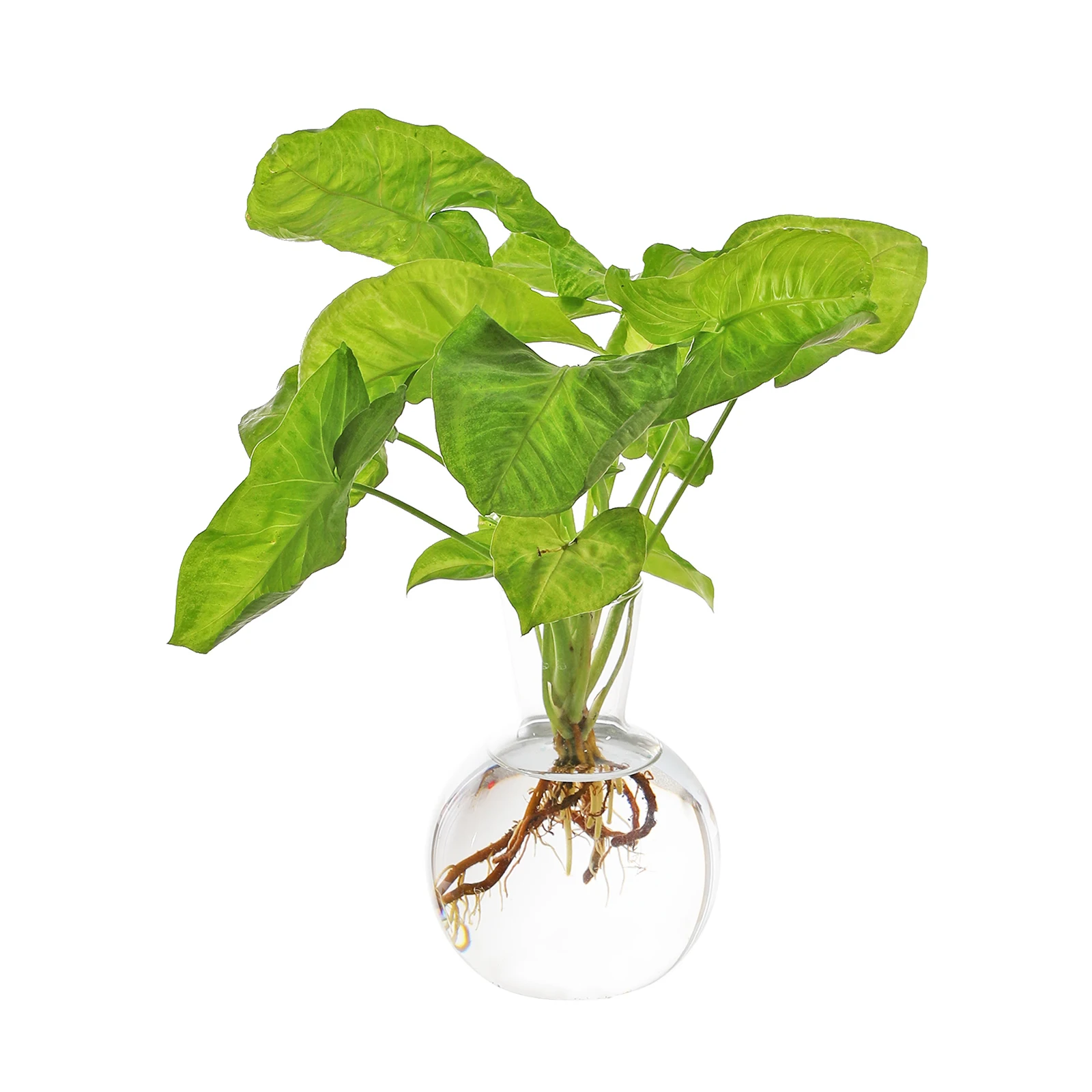 Free Standing Glass Ball Vase Flower Plant Pot Terrarium Container Wedding Decor