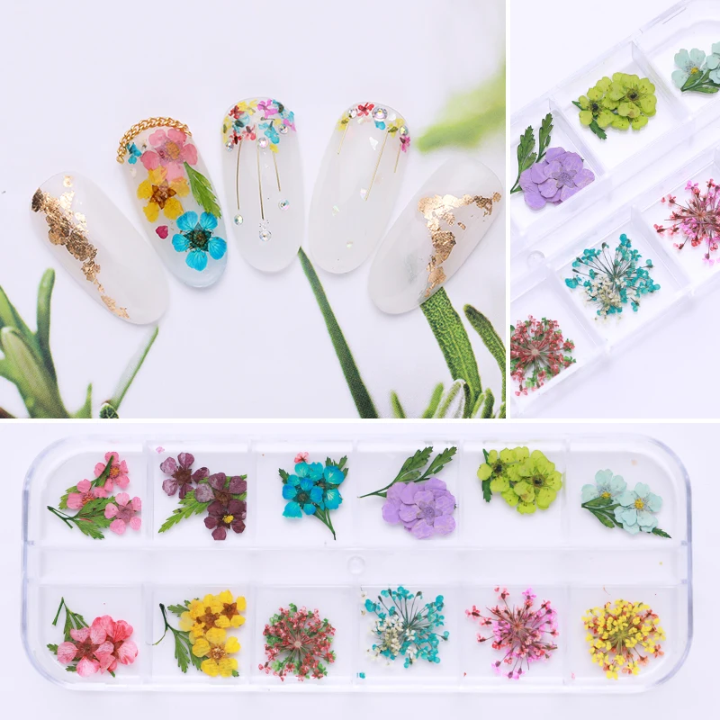 1 Box Dried Flowers Colorful Mixed Preserved Flower With Heart-Shaped Box Glass Bottle 3D Nail Art DIY Design Decorations