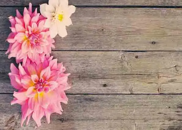 

SHENGYONGBAO Vinyl Custom Photography Backdrops Prop Flower and Wood Planks Theme Photo Studio Background FW19912-7188