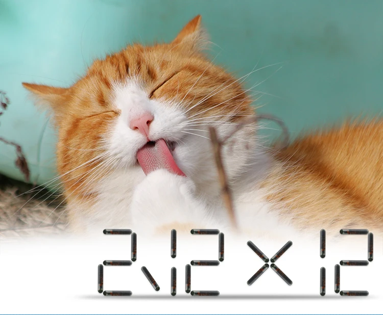 2.12mm animal microchip (1)