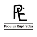 Populus Euphratica Store