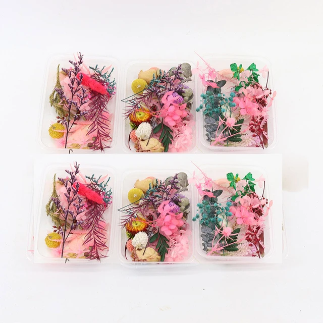 1 Box Real Natural Dried Flower Dry Plants Making Craft DIY Colorful  Aromatherapy Candle Epoxy Resin Jewelry For Home Decoration - AliExpress