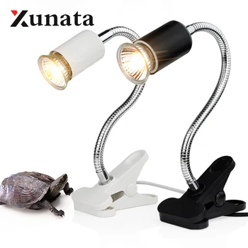 

Reptile Lamp Set Lamp Clip-on Bulb Lamp Holder Thermometer Hygrometer Turtle Tortoises Basking Lamp Heat light Kit