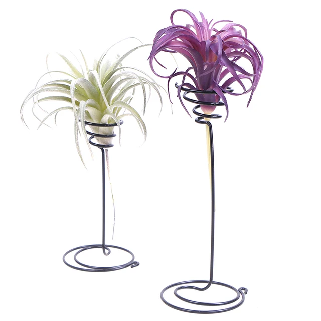 1 Pc Mini Dekoratív Fém Légkört Edény Állvány Tartály Tartó Erkély Dekoráció A Repülőgépekhez Tillandsia Kerti Készletek 2 Méret - Image 2