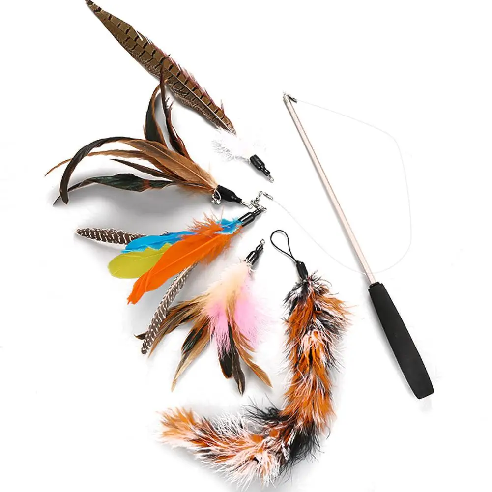 

6pcs Pet Cat Toy Fishing Rod Retractable Feathers Funny Cat Pole with Five Replacement Head Pet Interactive Toys for Cats Kitten