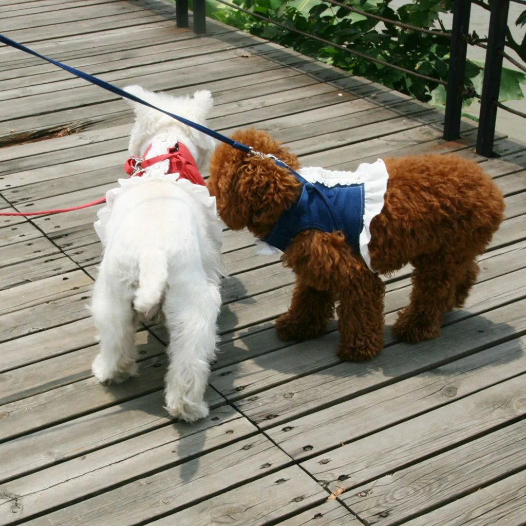 Beautiful and Comfortable Dog Harnesses, Leashes Dresses for Small Pet Cat Puppy, 2 Colors XS/S to Choose