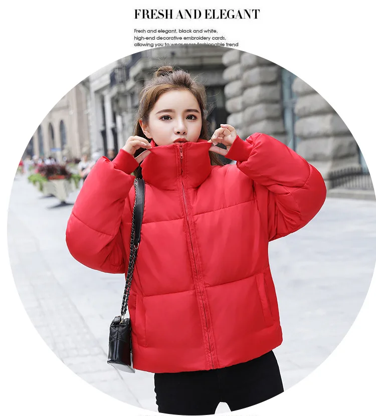 11474796612_1388370508