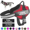 Image of the dog harness no pull.