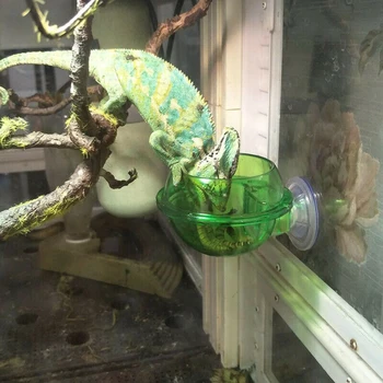

1pc Suction Cup Feeder Reptile Pets Water Food Sucker Feeder Food Bowl For Arboreal Pets Small Pet Feeding Supplies