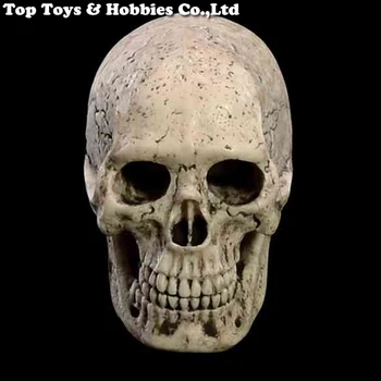 

1/6 Scale Skull Head Carving Male Scene Props Head Sculpt Carved Ancient Scene Fit 12inch Action Figure Toys Doll