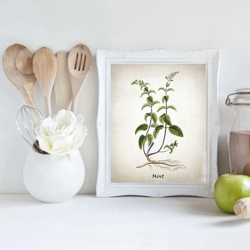 Herb-Canvas-Art-Painting-Vintage-Herbal-Illustrations-Posters-and-Prints-Culinary-Herbs-Botanical-Kitchen-Wall-Art (2)