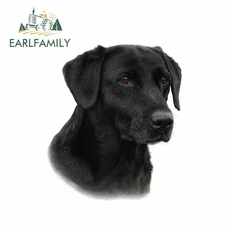 

EARLFAMILY 13cm x 11.4cm for Black Labrador Funny Car Stickers Vinyl Sunscreen RV VAN Fine Decal JDM Car Accessories Graphics