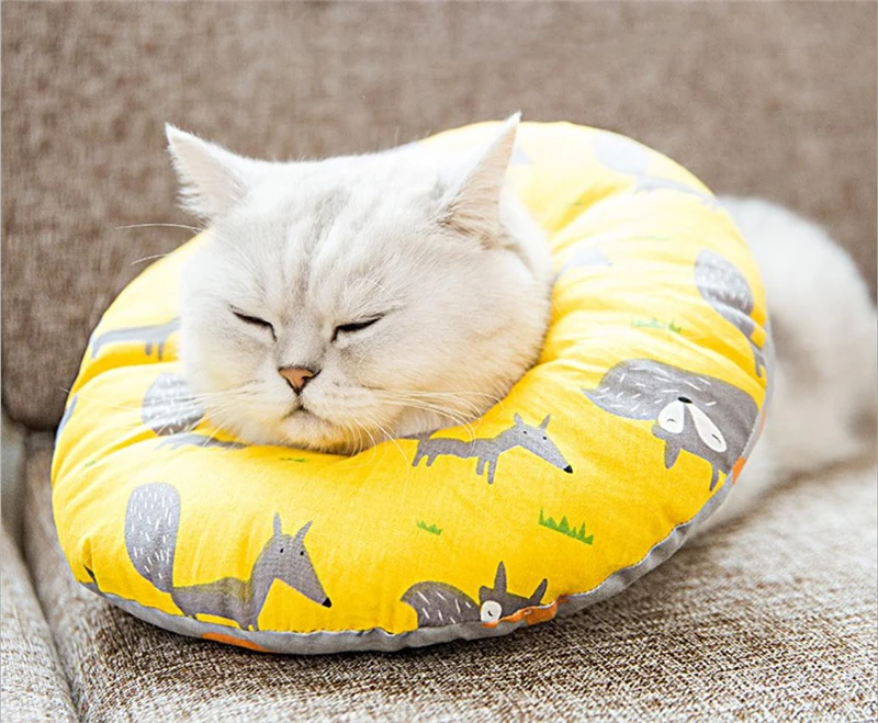 企业微信截图_20191016143830_副本