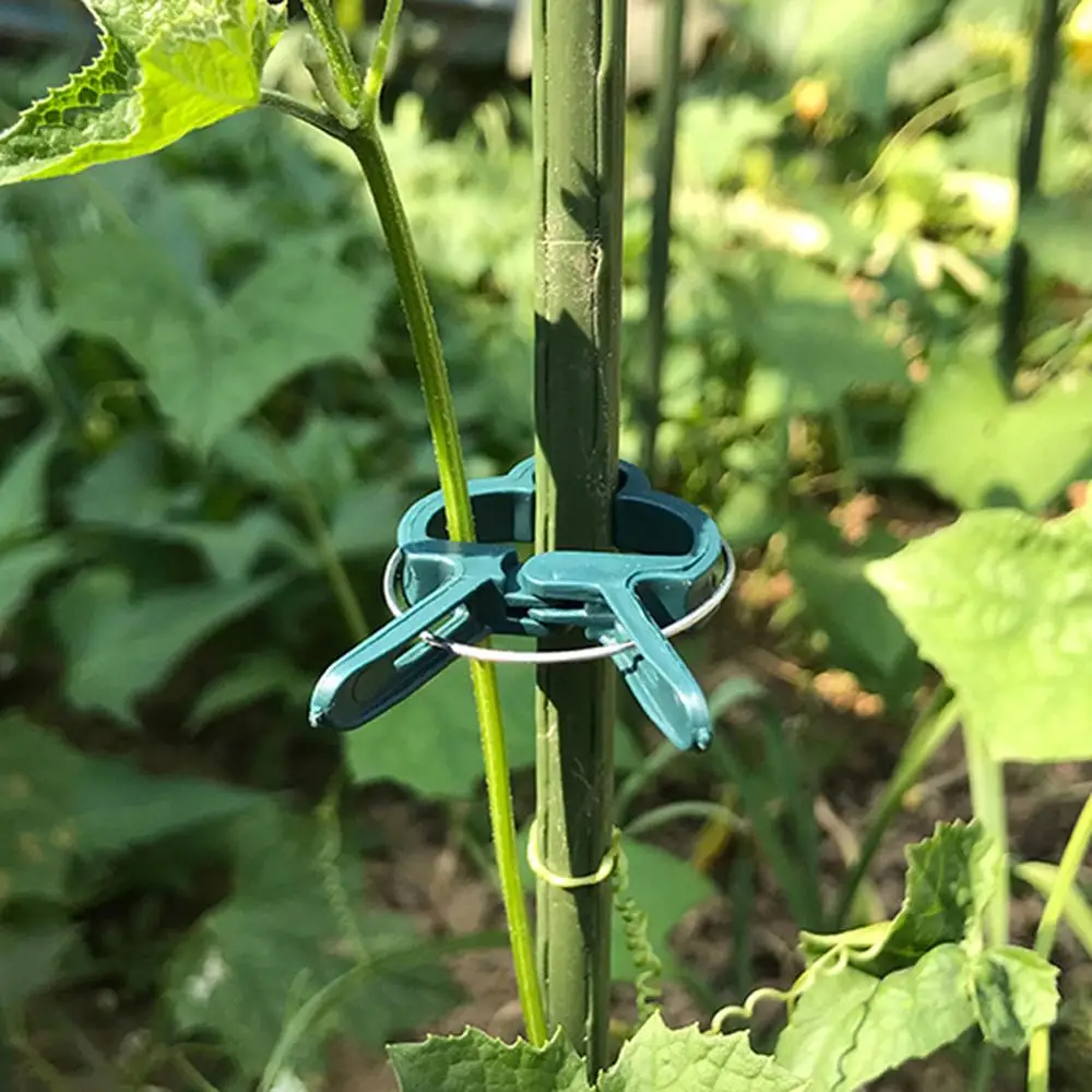 Plant Fixed Clips Reusable Garden Greenhouse Bracket Fixed Plants Vine Flower Seedling Stem Garden Support Supplies 20Pcs plant clips plastic plant clips