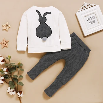 

Newborn Baby Girls Boys Long Sleeve Rabbit Pattern Casual Top Pullovers Solid Color Pants 2-piece PJs Joggers Outfit Set 0-24M