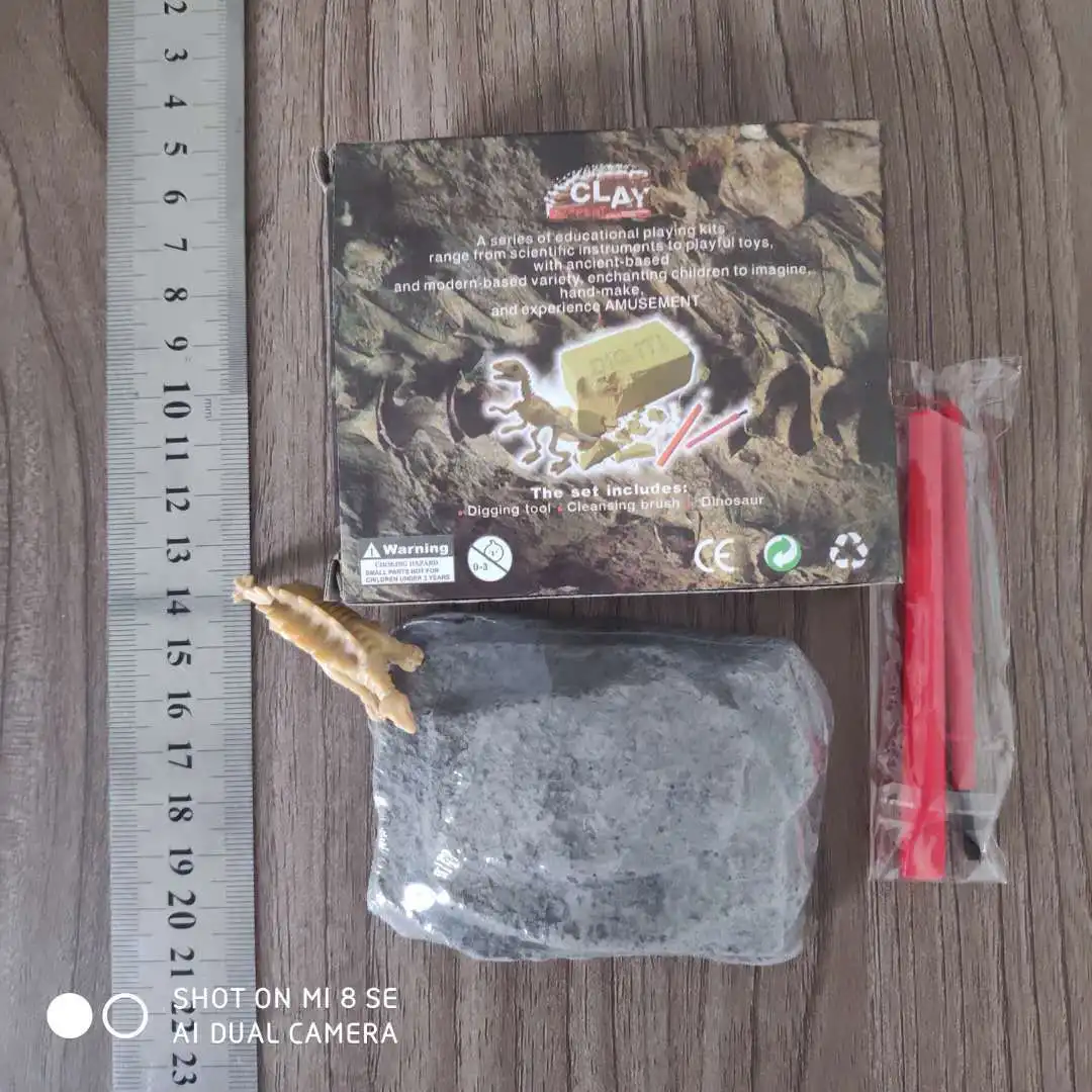 

Archeology Dig Little Dinosaur Children Archeology Dinosaur Gypsum DIY Archeology Dig Dinosaur Toy