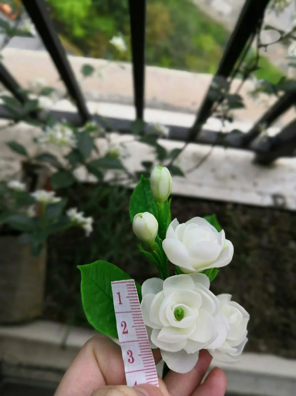 1586251094117_meitu_7