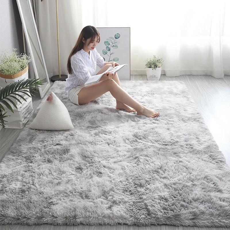 ModernSoftPlushAreaRugforLivingRoomSuperSoftShaggyRugs