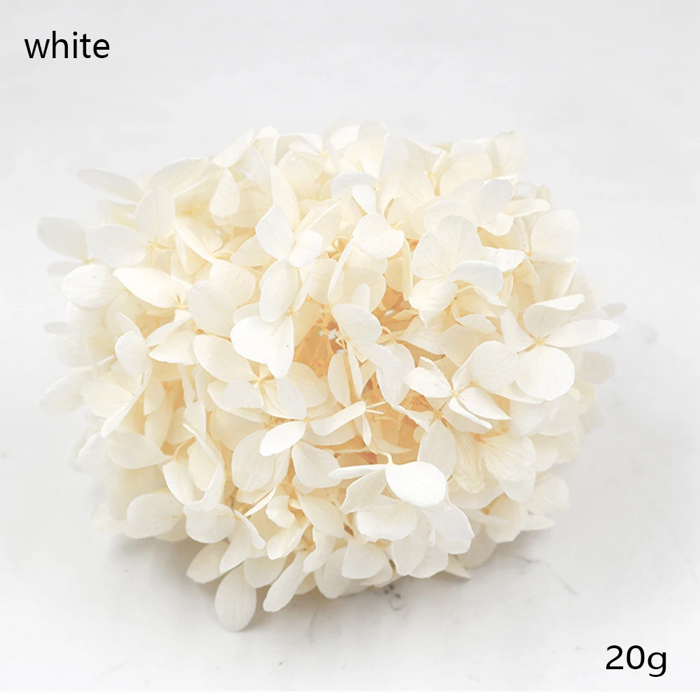 White 20 г/лот, искусственный цветок, шелковая Гортензия, сушеные цветы, украшение на голову, для свадебной вечеринки, сделай сам, жизнь, цветы, венок, День Святого Валентина, подарочная коробка - Цвет: White