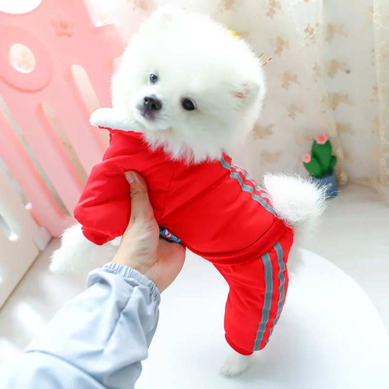 大队长棉衣_9187