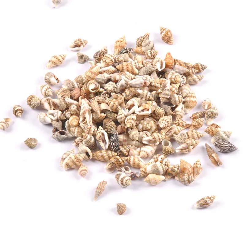 Natural Shell Ornaments Leopard Print Stripe Spiral 100pcs for Scrapbooking Glass Bottle Home Decoration