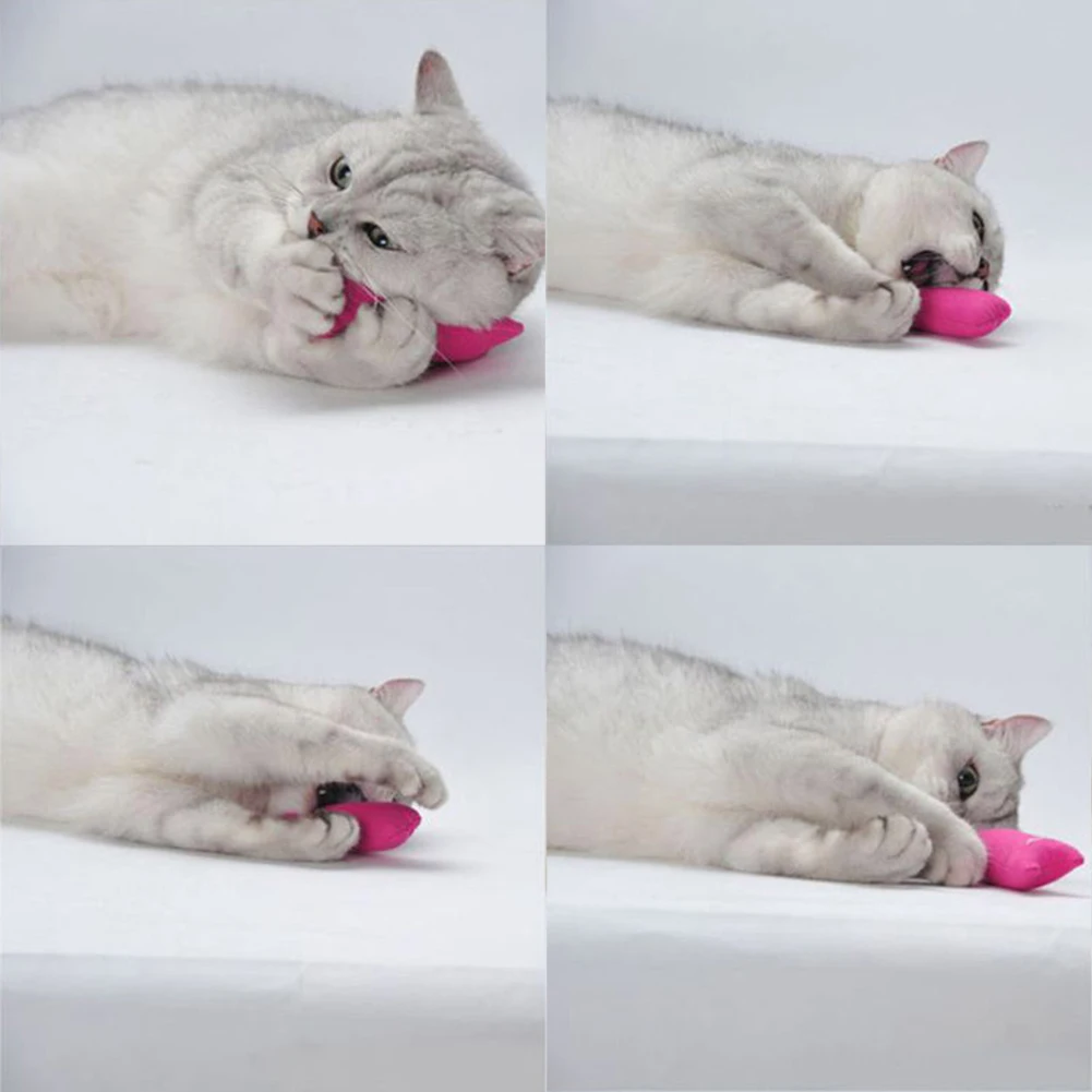 Игрушка для кошек котят кошачья мята|Игрушки кошек| |