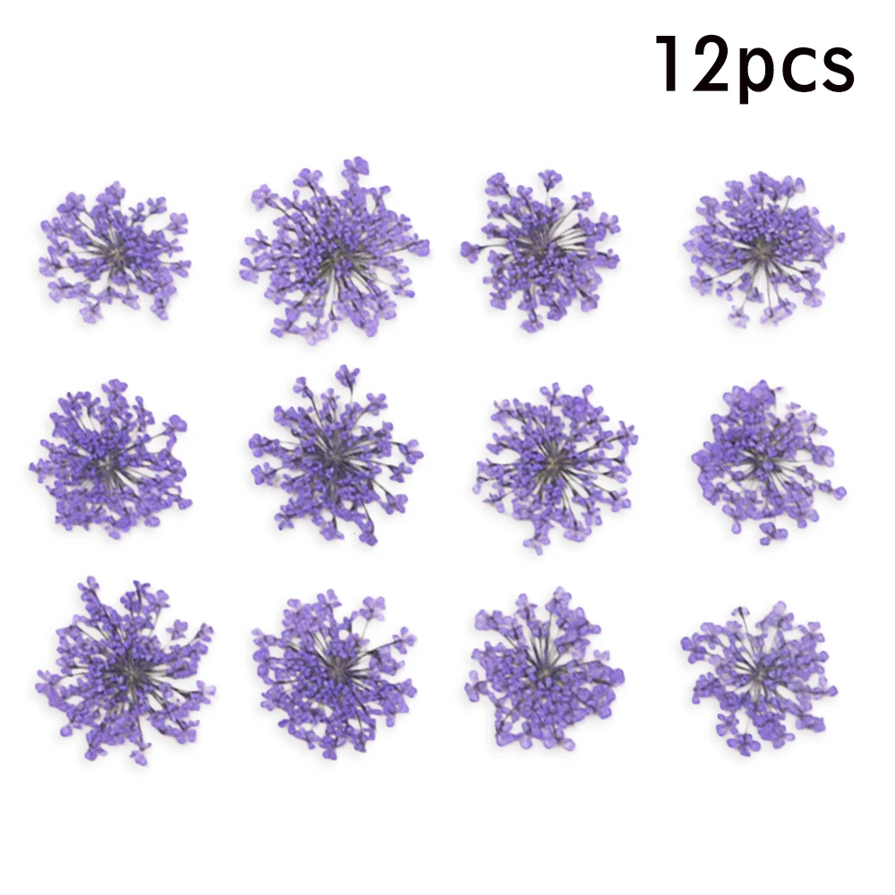 Fleurs Séchées Et Pressées Naturelles - 96 Pièces Roses Comestibles - Pour Décoration Gâteaux, Bijoux Résine, DIY