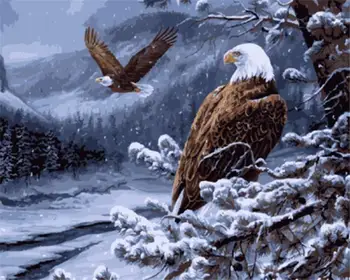 

DRAWJOY Framed Picture Eagle Painting & Calligraphy DIY Painting By Numbers On Canvas Coloring By Numbers