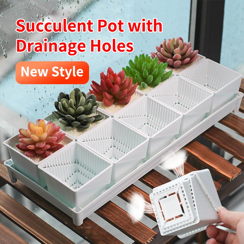 正方形 育苗ポット 3.1インチ 100個 多肉植物 プラスチック 保育園