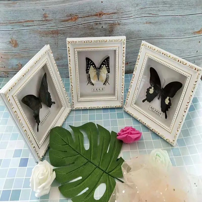 Butterfly Specimen Butterfly Real Specimen butterfly specimen photo frame craft /Butterfly Specimen Artwork Material Decor