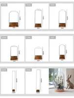 5pcs Home Decor Vases Glass Flower Display Cloche Bell Jar Glass Bottle With Cork Base Dust Cover Display Immortal Flower Box 1