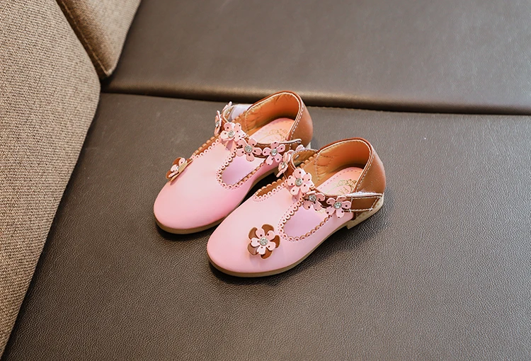 9552378424_448709522