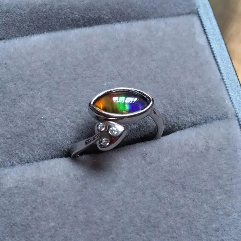 

B6204 Fine Jewelry Real 925 Steling Silver s925 100% Natural Ammonite Gemstones Canada Origin Female Fine Rings Christmas Gift