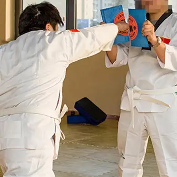 

Taekwondo Break Board High Strength Plastic Professional Rebreakable Board Karate Martial Arts Reusable Training Equipment