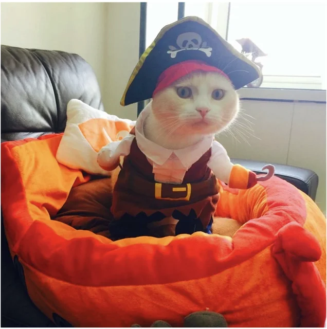 Funny Cat Pirate Costume 3