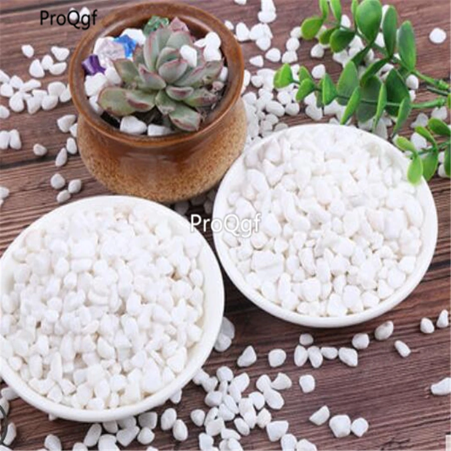 ProQgf 300Gram A Set Garden Decoration Stone many choice