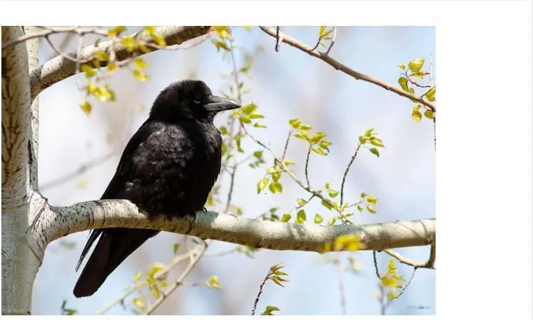 9S2HCB%O2AIXZ9$OGCD)$KH_