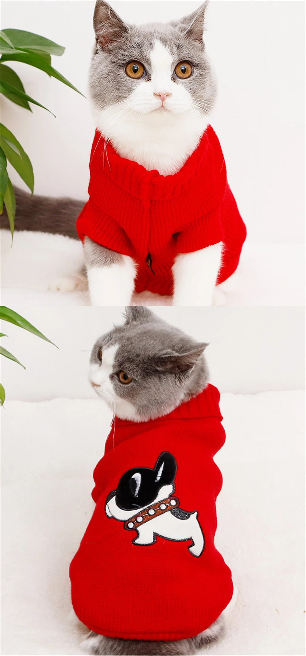 12700728841_1118210482