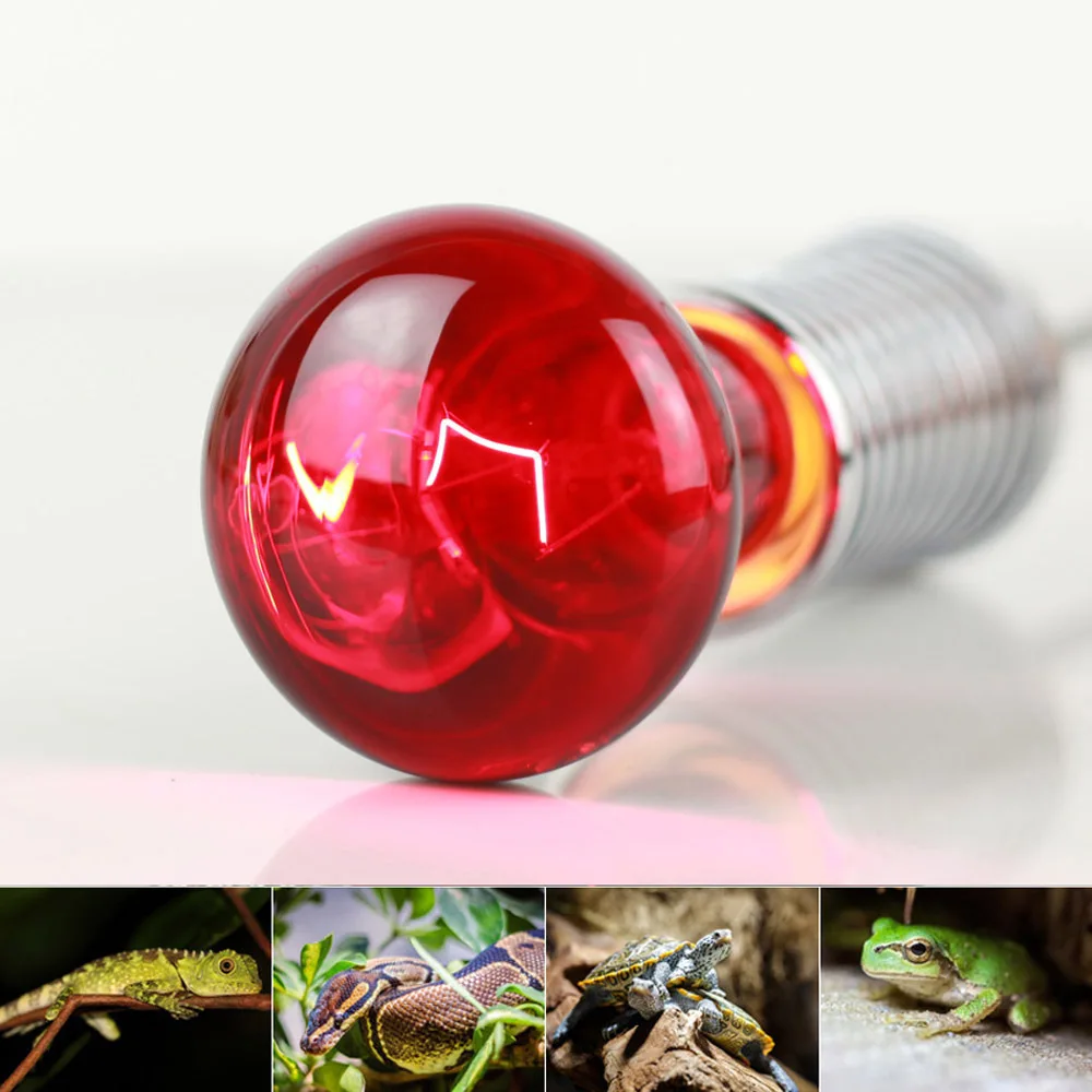 

R63 Infrared Light Bulb Sterilization Heating 60W Crawler Lamp Amphibious Animal Bulb Lizard Frog Tortoise Snake 220V