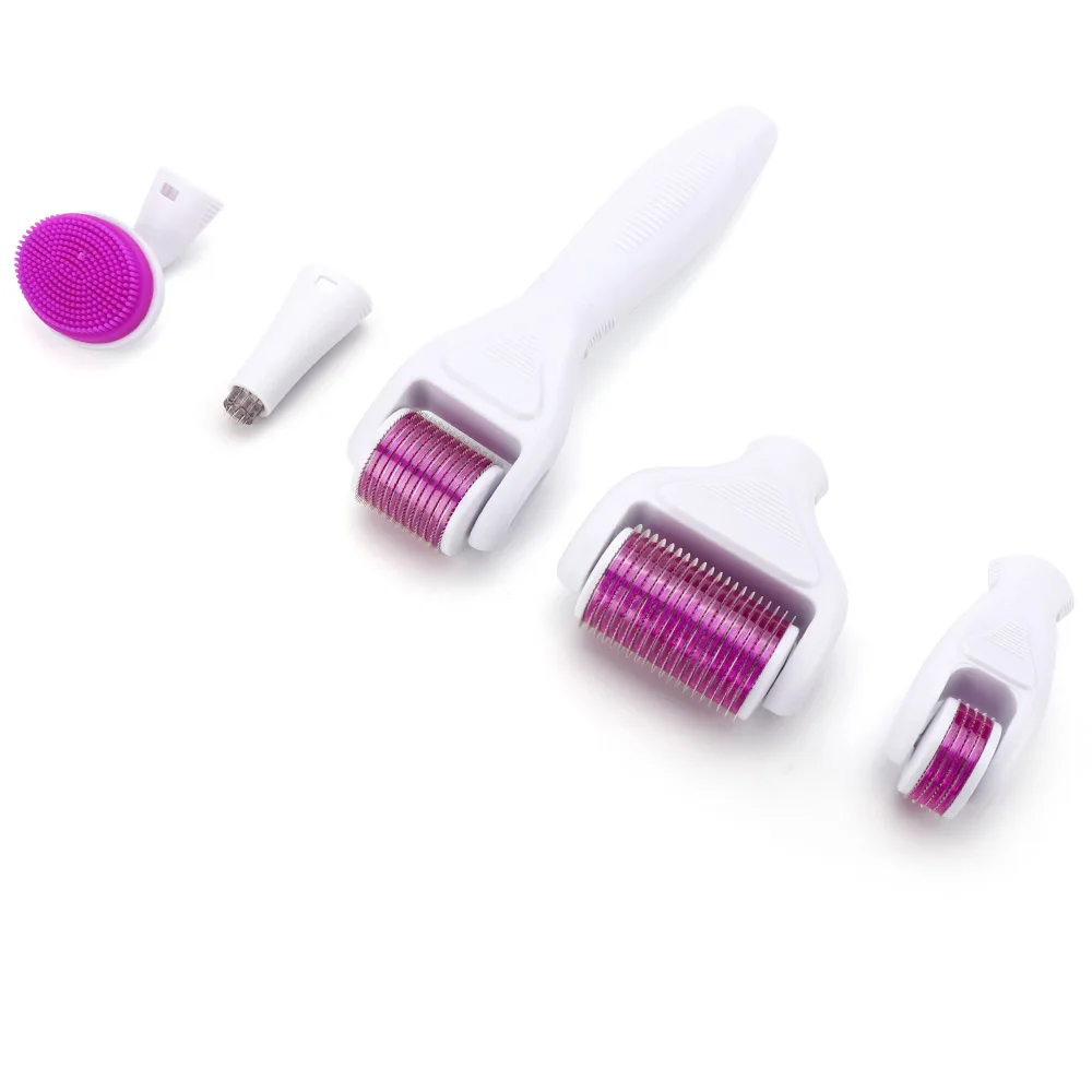 4/5/6 In 1 Derma Roller Micro Needle Roller Kit Micro Needles Titanium Microneedle Mezoroller Machine Skin Care BodyTreatment