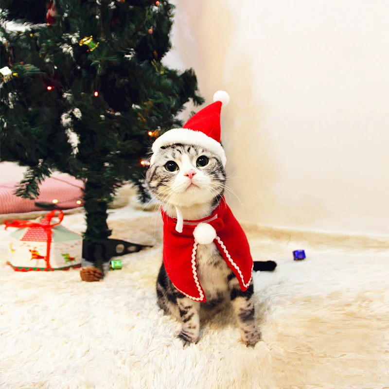 Cat clothes for christmas Clearance