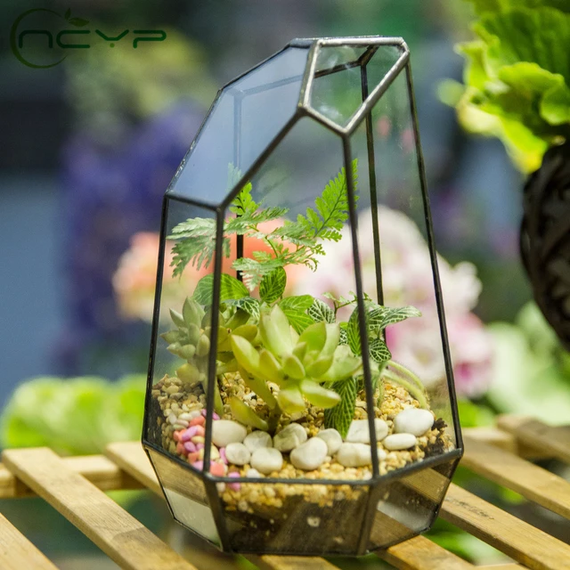  Large Tall Plant Greenhouse Terrarium Glass with Lid