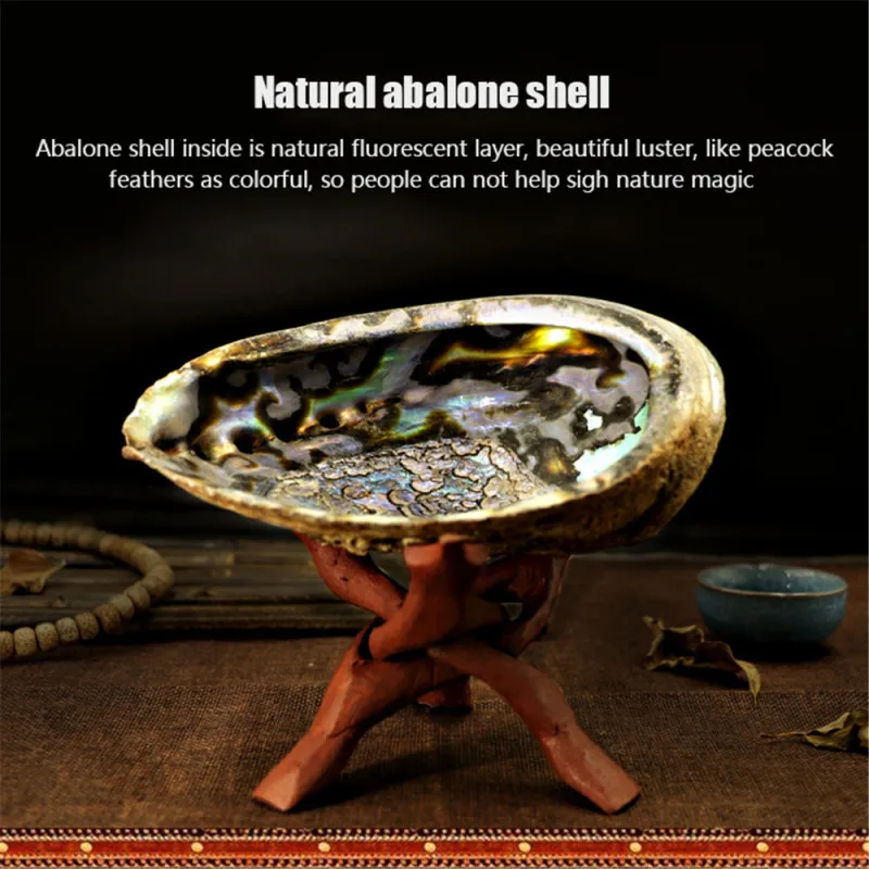 TTLIFE Abalone Shell Smudge Kit Wooden Tripod for White Sage Stick Room Purification Smoke Supplies Multifunction Home Decor