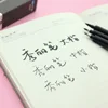 3pcs Calligraphy pen set Fine Medium Brush for signature drawing hand writing letter art Chinese words Stationery school F867 6