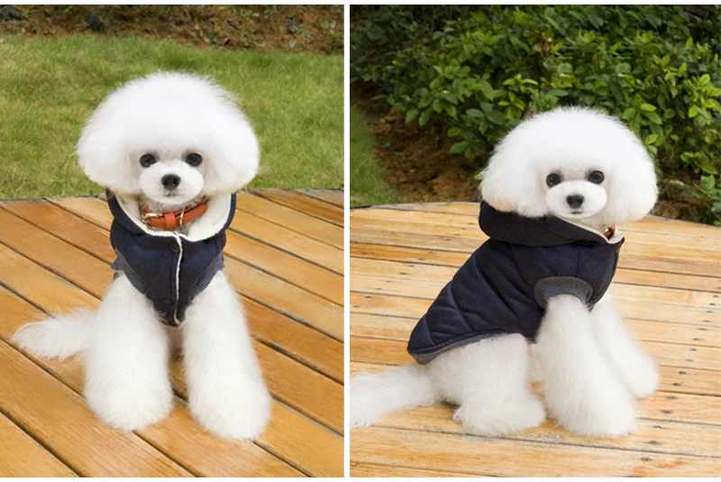 Зимняя теплая одежда для собак с капюшоном из плотного хлопка с изображением кошки, щенка, жакеты для собак, куртки s-xxl