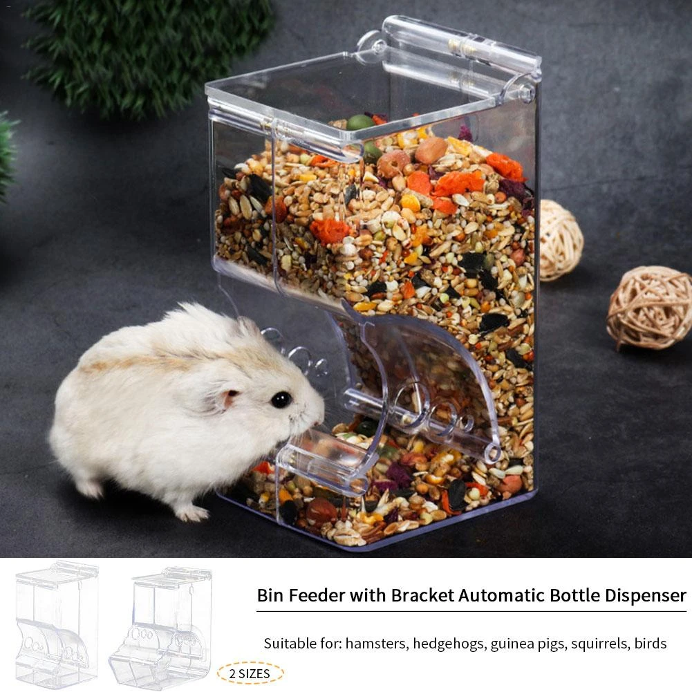 automatic hedgehog feeder