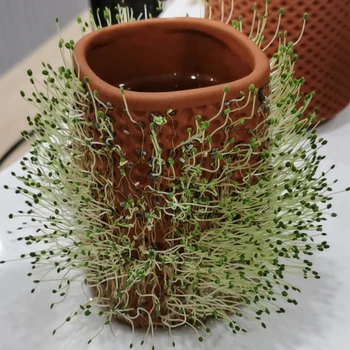 

Patio Self Watering Desktop Herbs Honeycomb Shape Planter Gift Home Decor Retro Flower Pot Balcony Potted Ceramic Windowsill