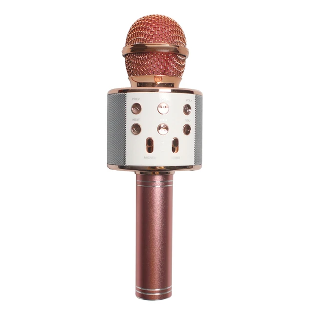 Micrófono Inalámbrico Bluetooth para Karaoke - WS858 – DShopOnline