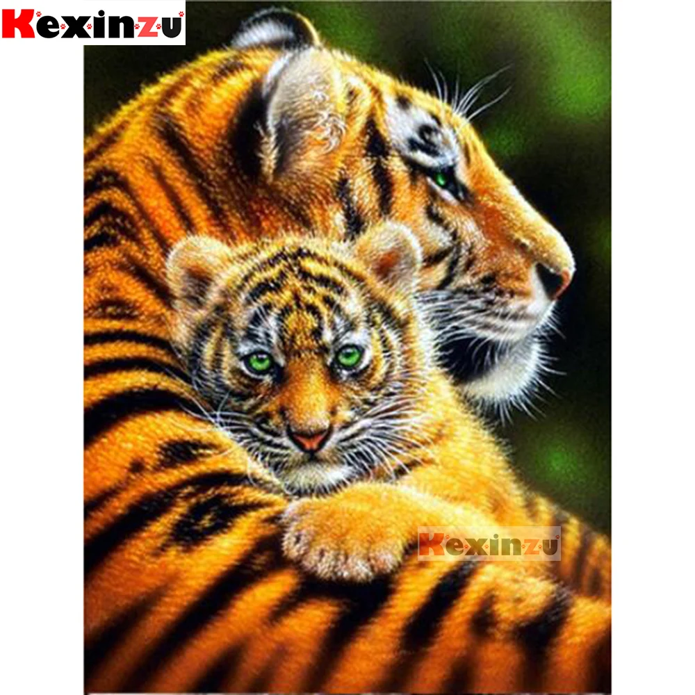 QQ截图20191228184212