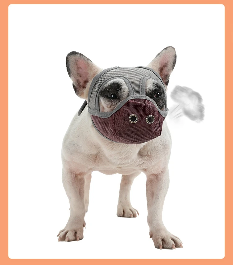 6 - 21463847211_20982621